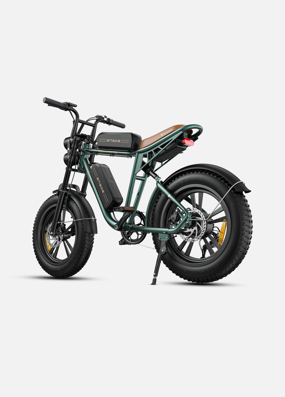 ENGWE M20 Motorcycle-styled Electric Bike