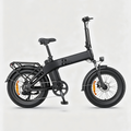 Czarny-Rower elektryczny EP-2 3.0 Boost