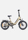 ENGWE L20 3.0 Boost E-Bike