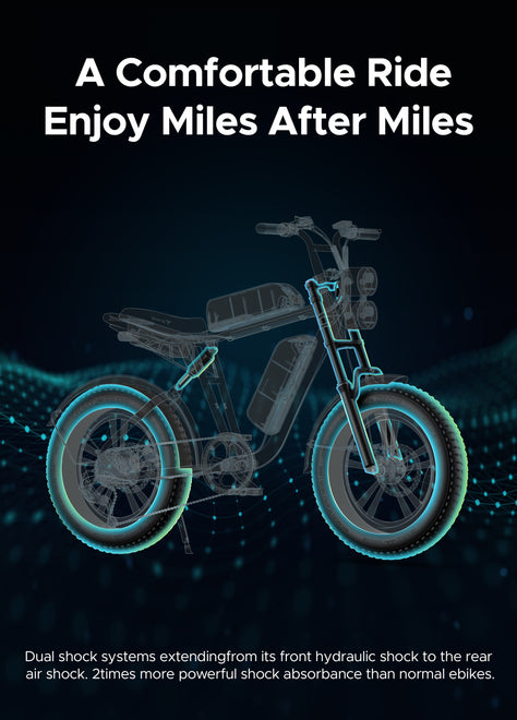ENGWE M20 Motorcycle-styled Electric Bike