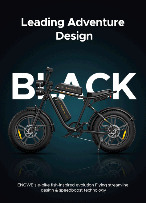 ENGWE M20 Motorcycle-styled Electric Bike
