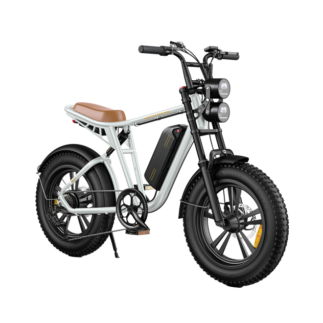 M20 Motorcycle-styled Electric Bike