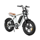 M20 Motorcycle-styled Electric Bike