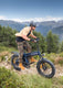 ENGWE Engine Pro 3.0 Boost Electric Bike