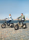 L20 3.0 Pro Electric Bike