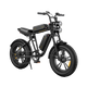 M20 Motorcycle-styled Electric Bike