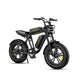 ENGWE M20 Motorcycle-styled Electric Bike