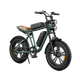 M20 Motorcycle-styled Electric Bike